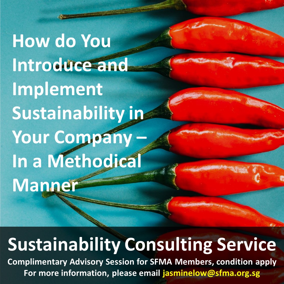 Sustainability Consulting Service